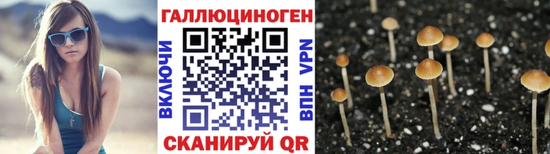 Галлюциногенные грибы Psilocybine cubensis  Сочи 