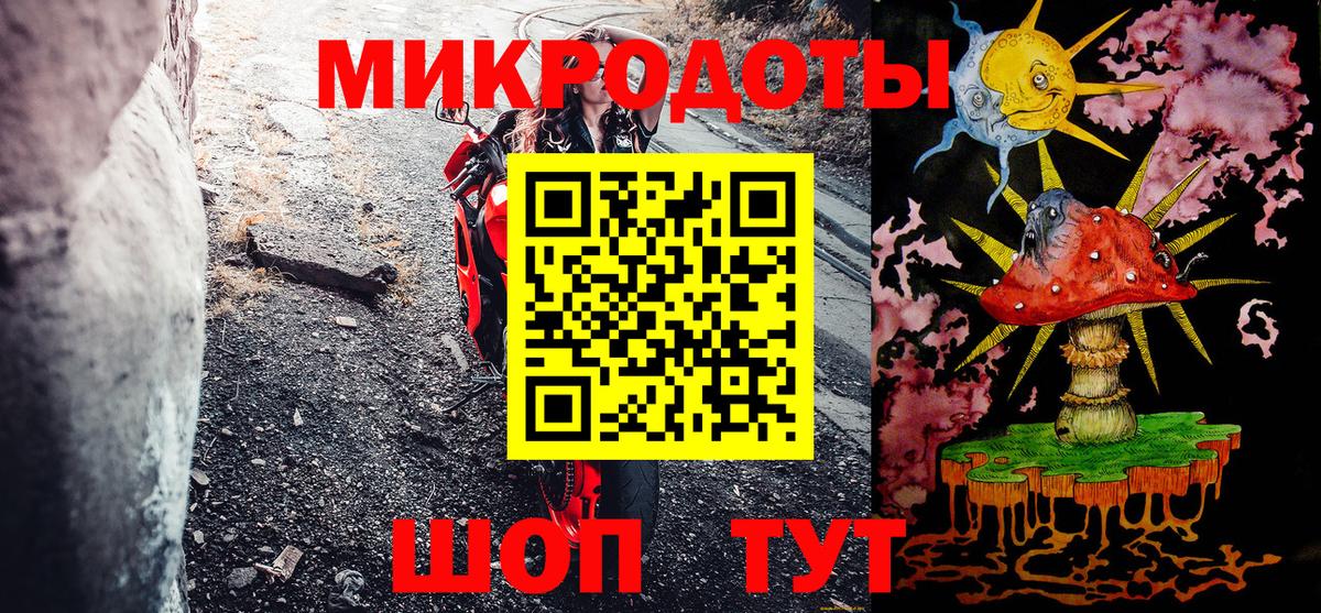 Псилоцибиновые грибы мицелий Сочи