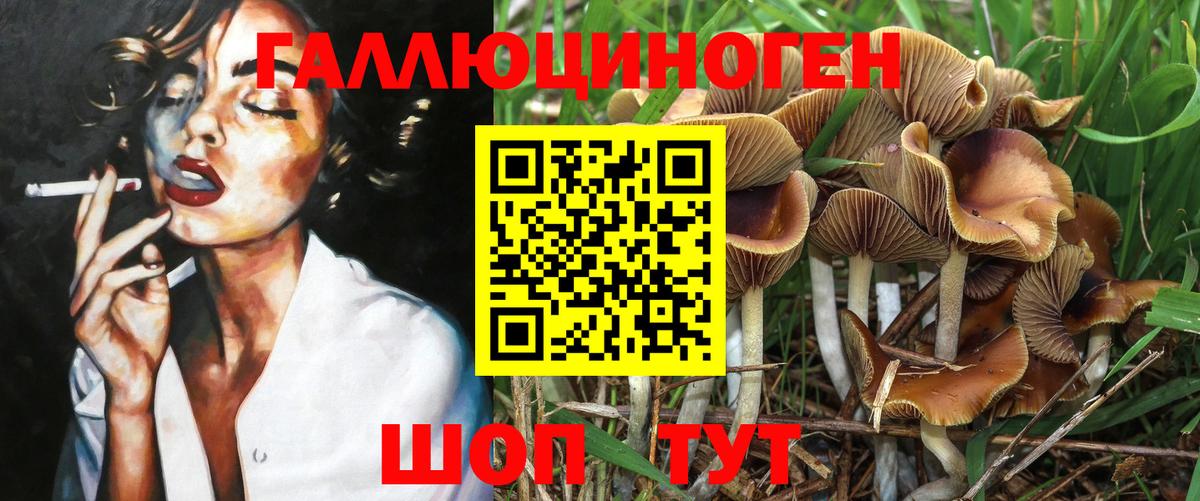 Псилоцибиновые грибы мицелий  Псилоцибиновые грибы Psilocybe  Вход с VPN  Сочи 